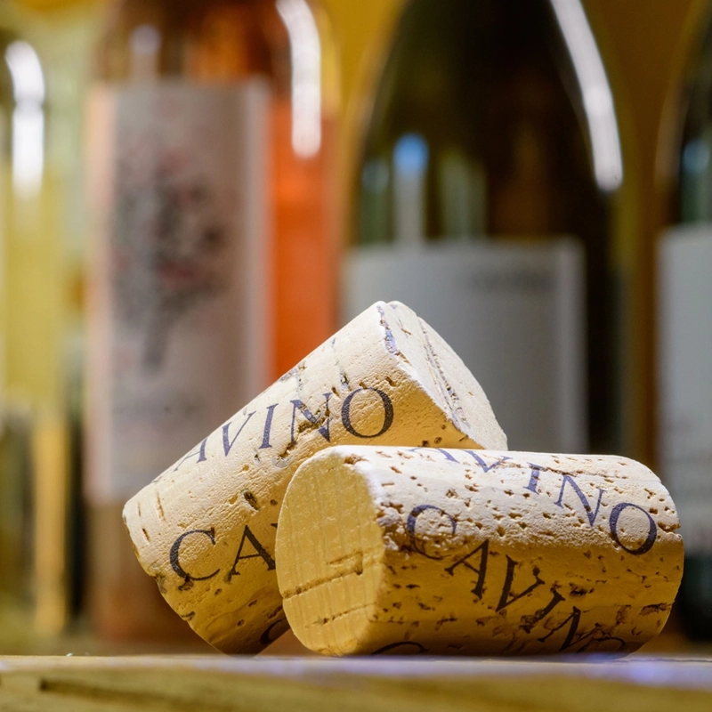 CAVINO