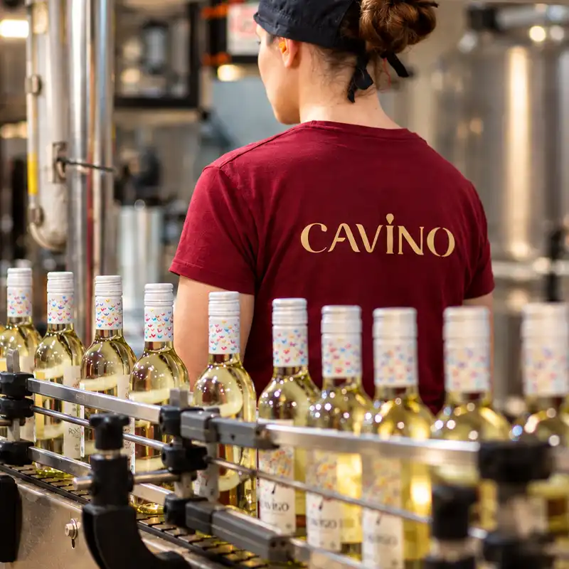 CAVINO ΒΙΩΣΙΜΗ ΣΥΣΚΕΥΑΣΙΑ